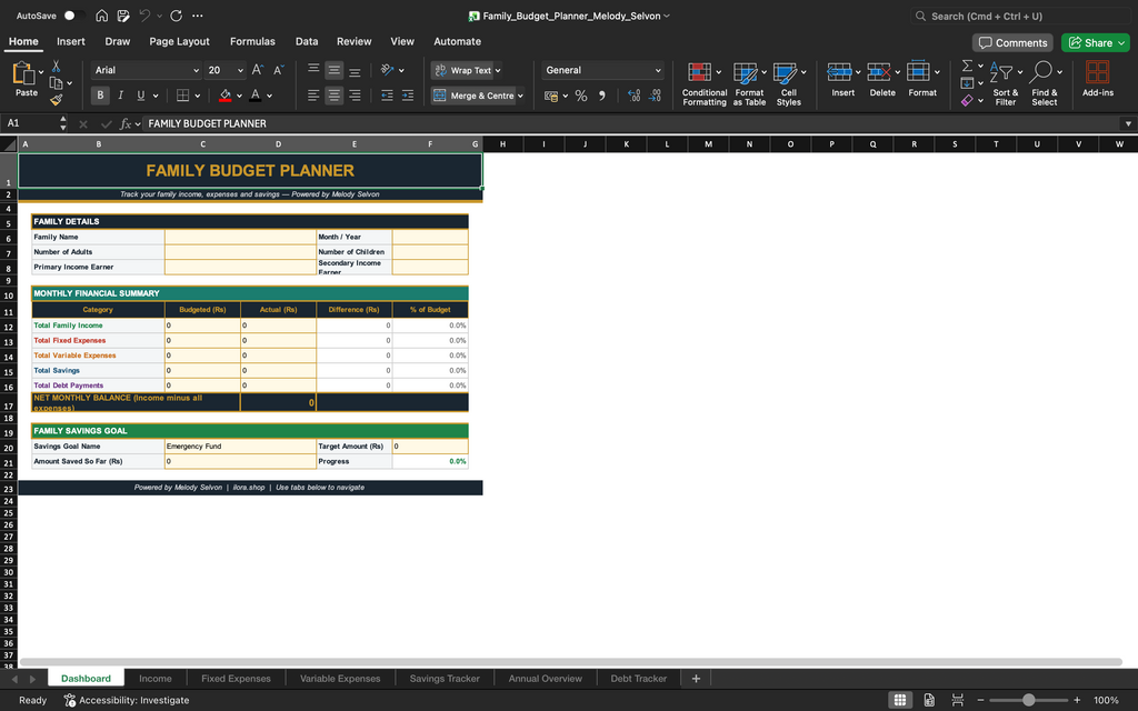 Budget planner spreadsheet page with family budget planner overview and summary table