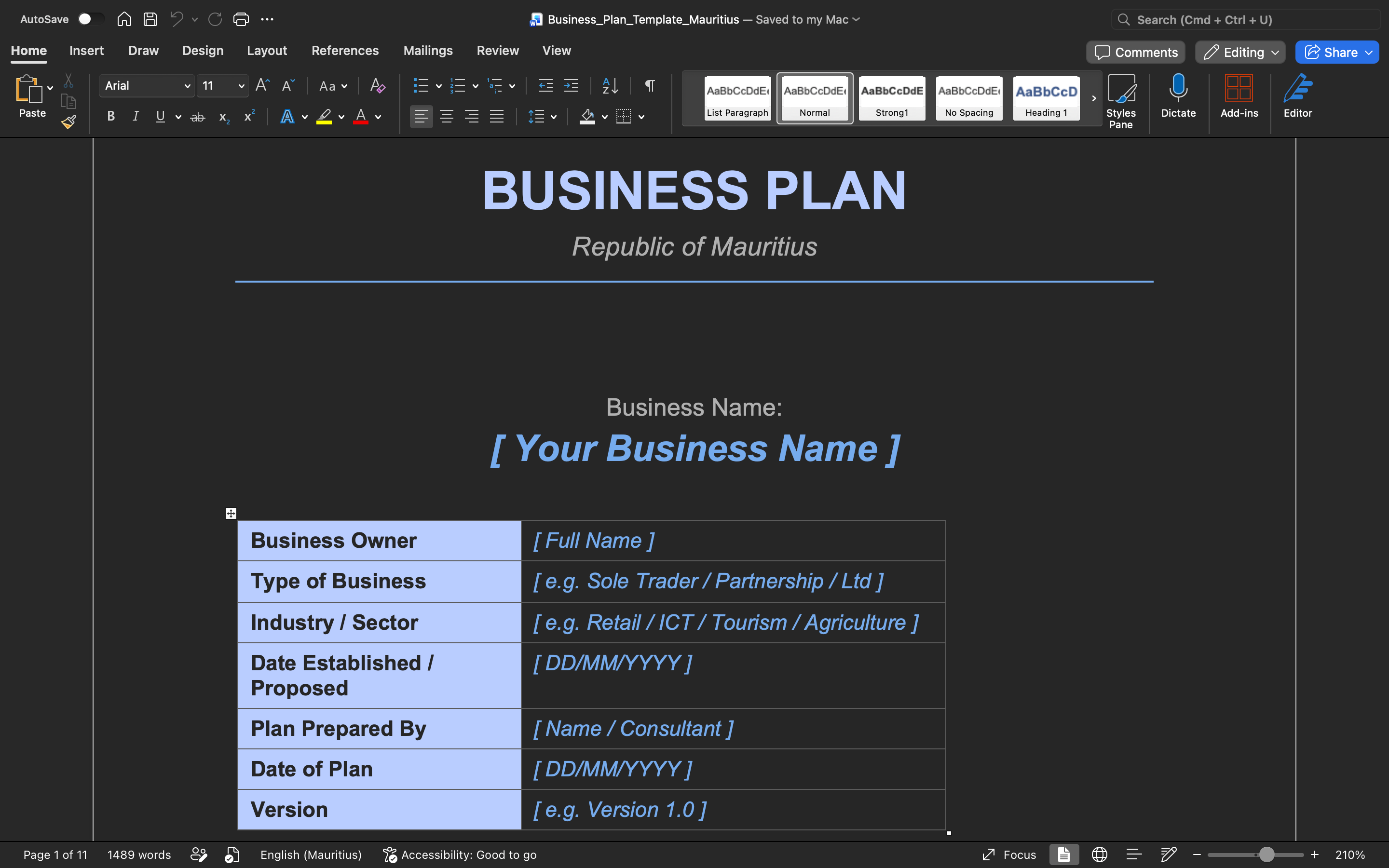 Business Plan Template – Mauritius (Word Document)