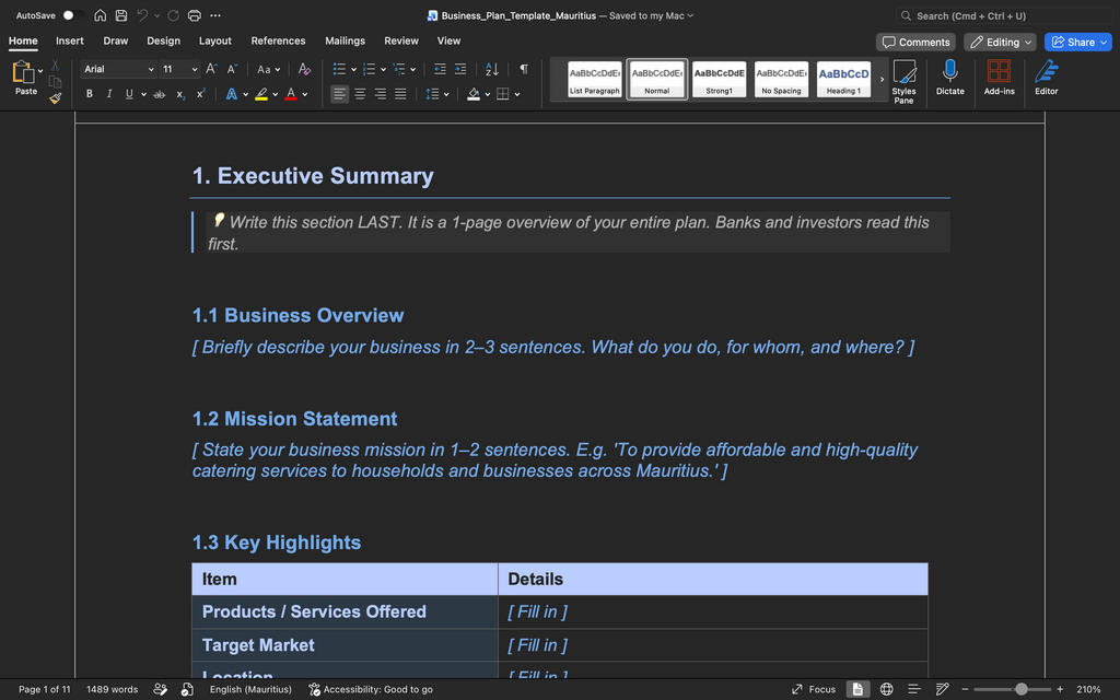 Business Plan Template – Mauritius (Word Document)