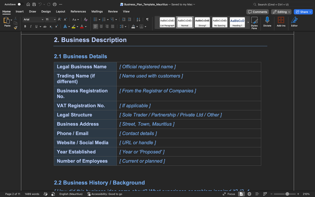 Business Plan Template – Mauritius (Word Document)