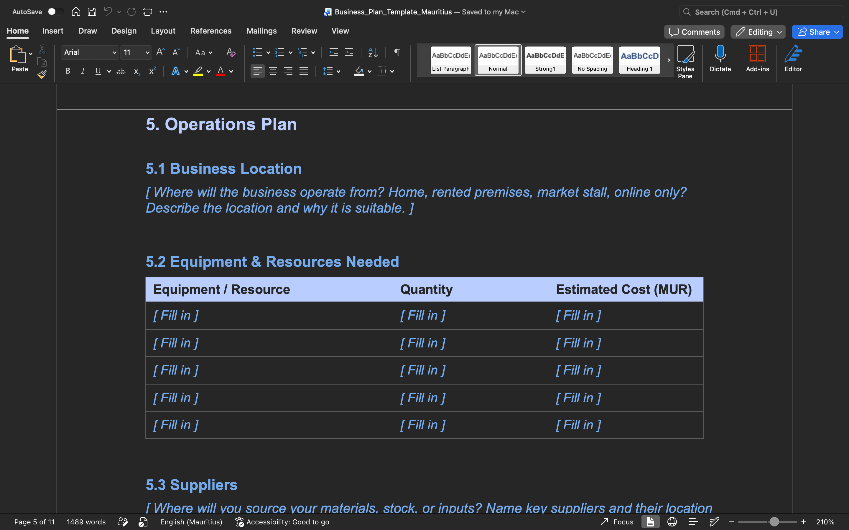 Business Plan Template – Mauritius (Word Document)