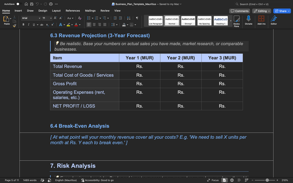Business Plan Template – Mauritius (Word Document)
