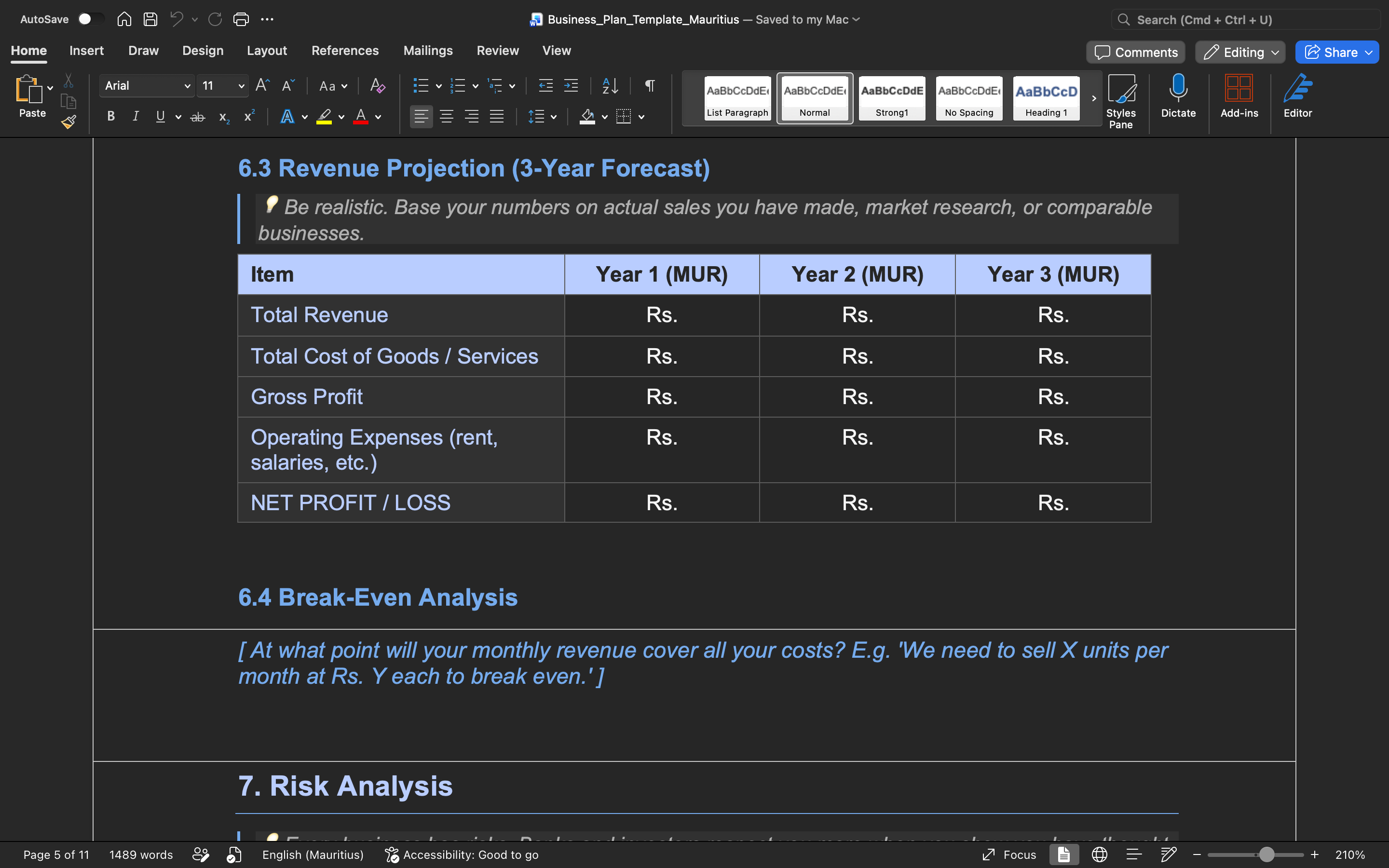 Business Plan Template – Mauritius (Word Document)